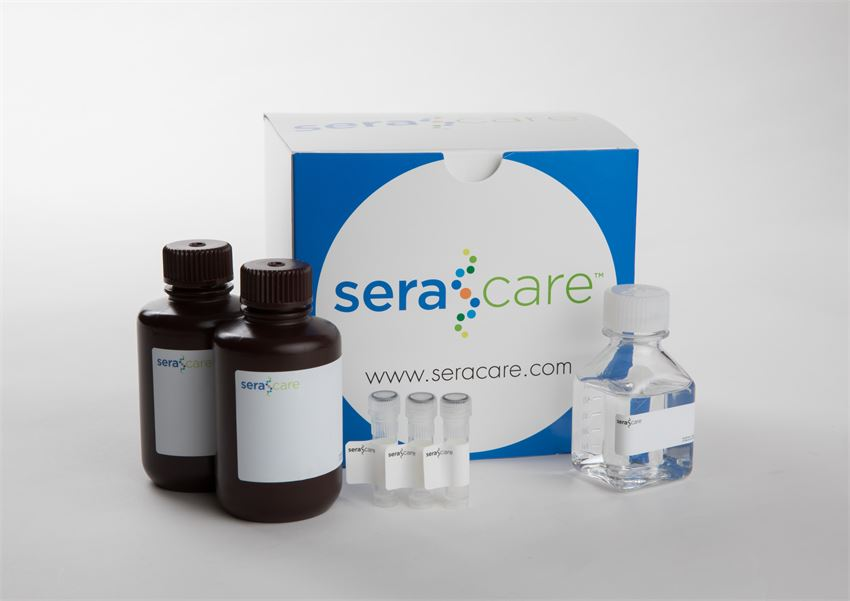 SeraCare-KPL Cost-Effective wB Substrate